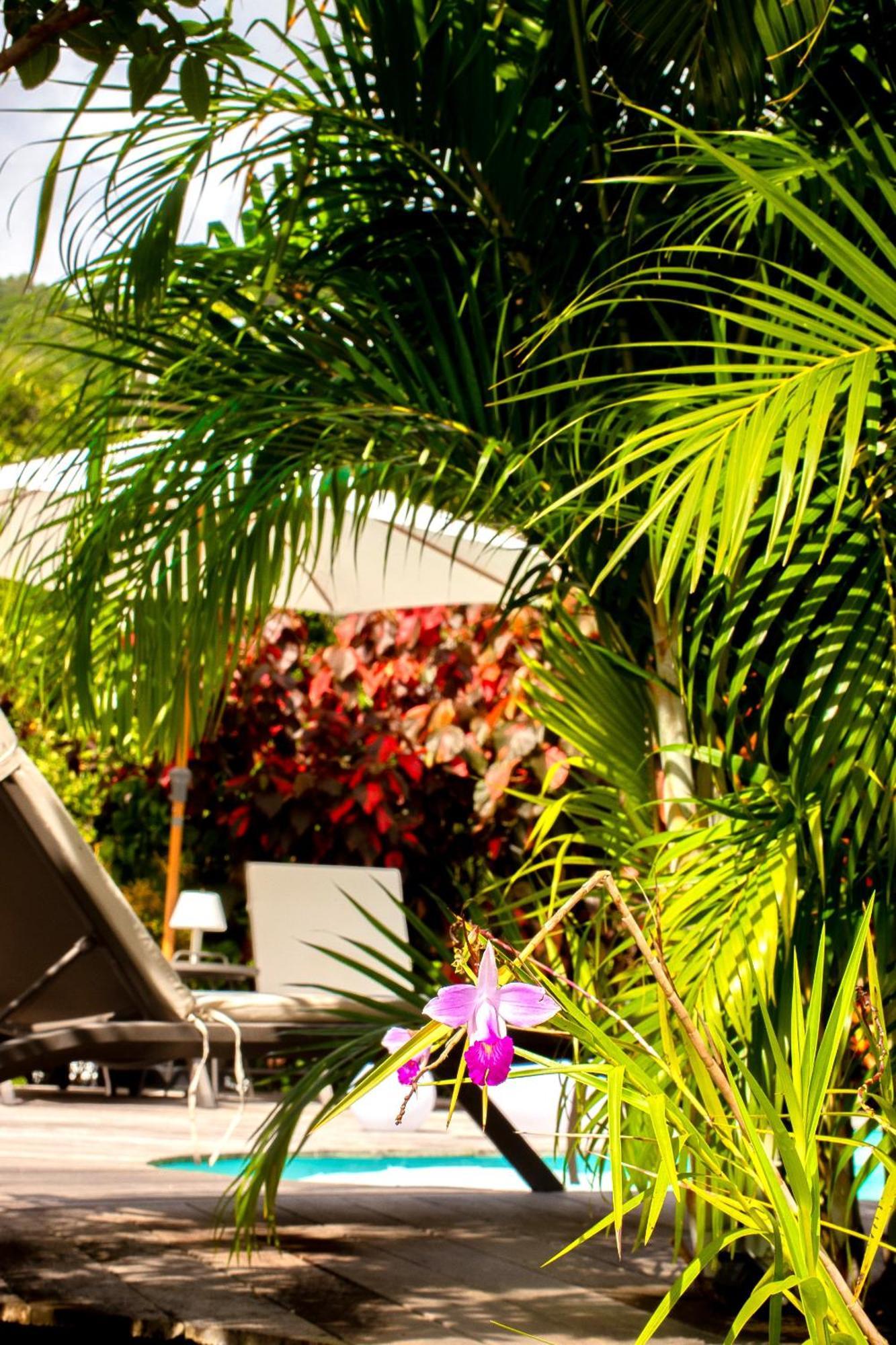 La Villa Baie Du Marin Le Marin ภายนอก รูปภาพ